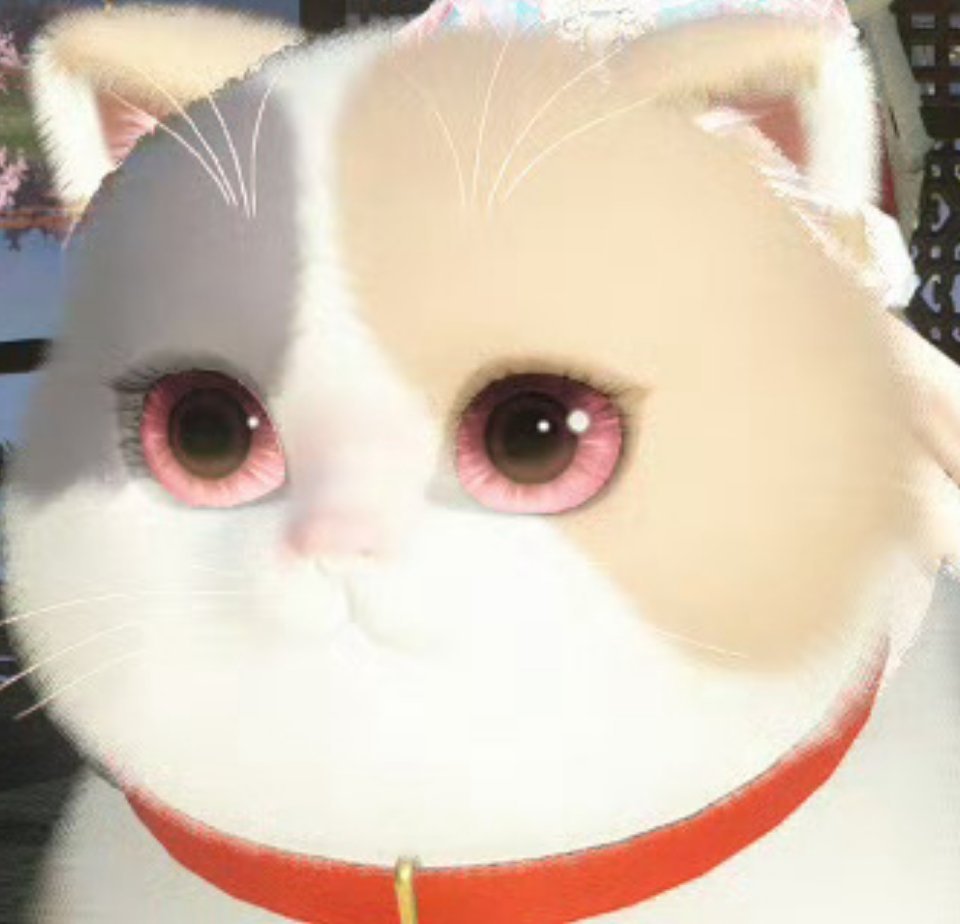 这么可爱的小猫咪就说谁能拒绝得了[哇]#逆水寒云养猫# ​​​