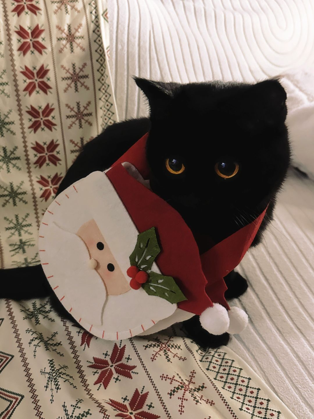 做圣诞老人好累 放空一下