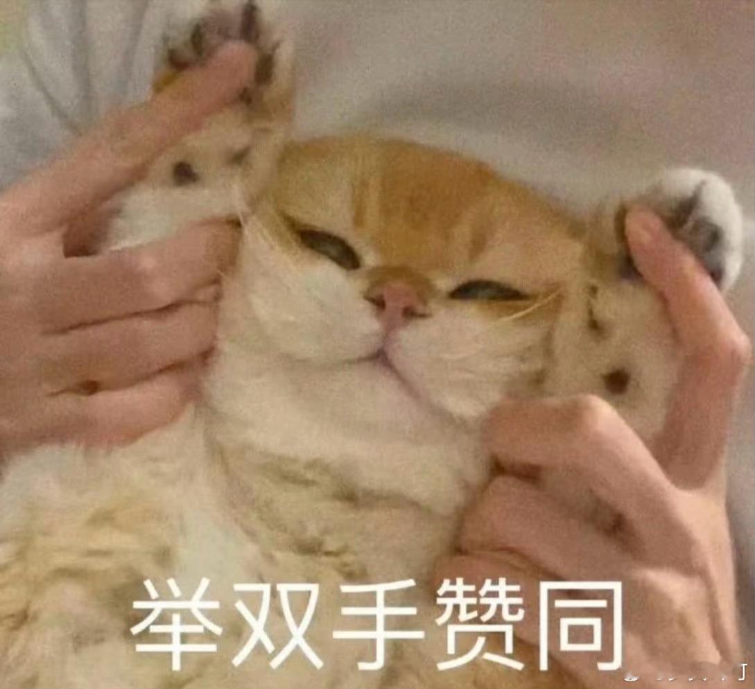 突然发现善意是流动的生命的温度有了生生不息的源泉。 
