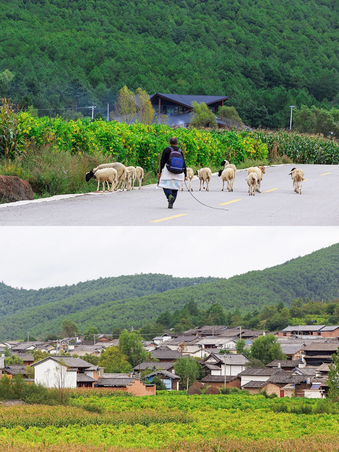 云南自驾｜很多游客错过的大理小众古村落💯