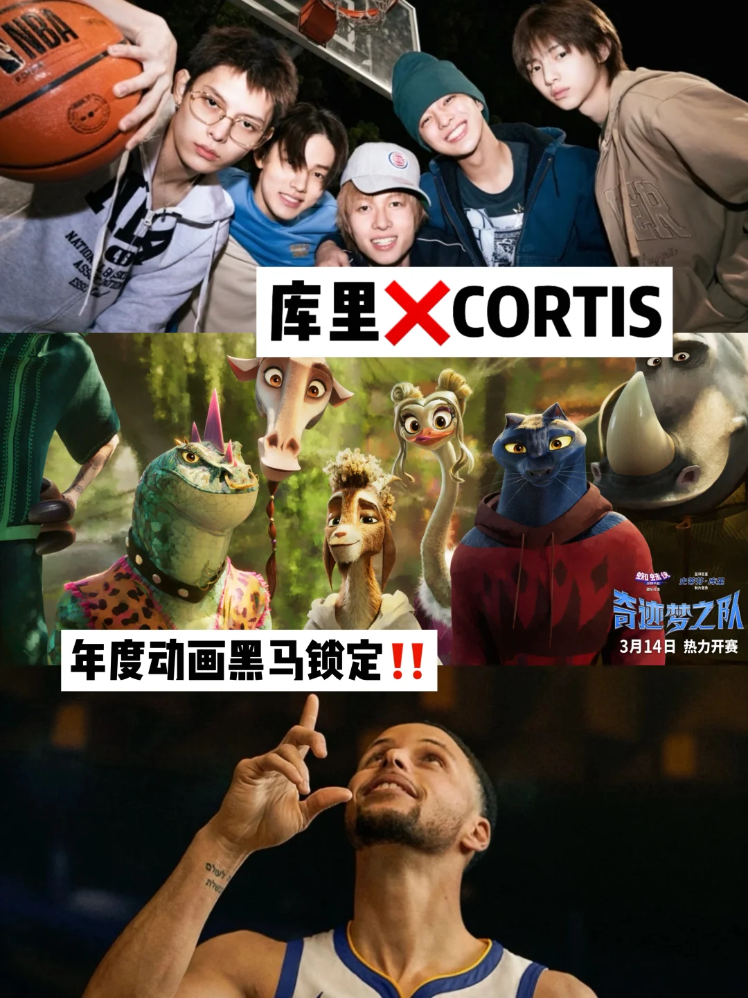 库里❌CORTIS‼️年度动画黑马锁了‼️