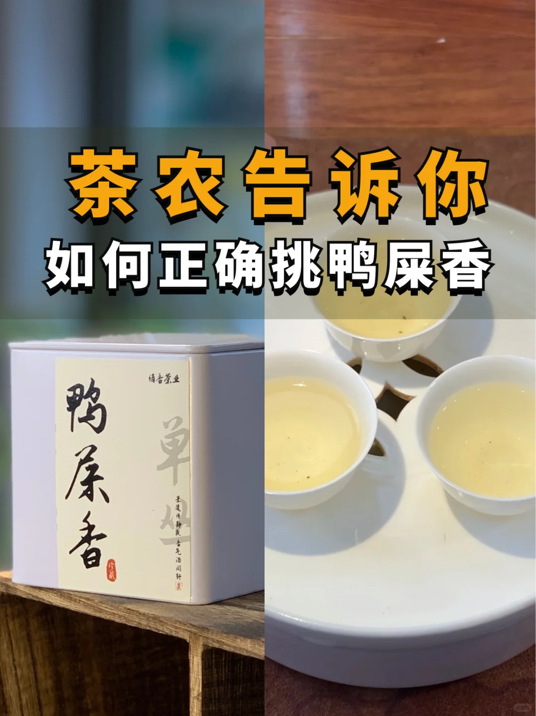 建议收藏 | 本地茶农，教你正确挑选鸭屎香🔥