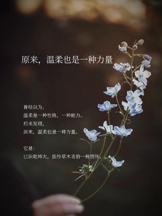 原来，温柔也是一种力量