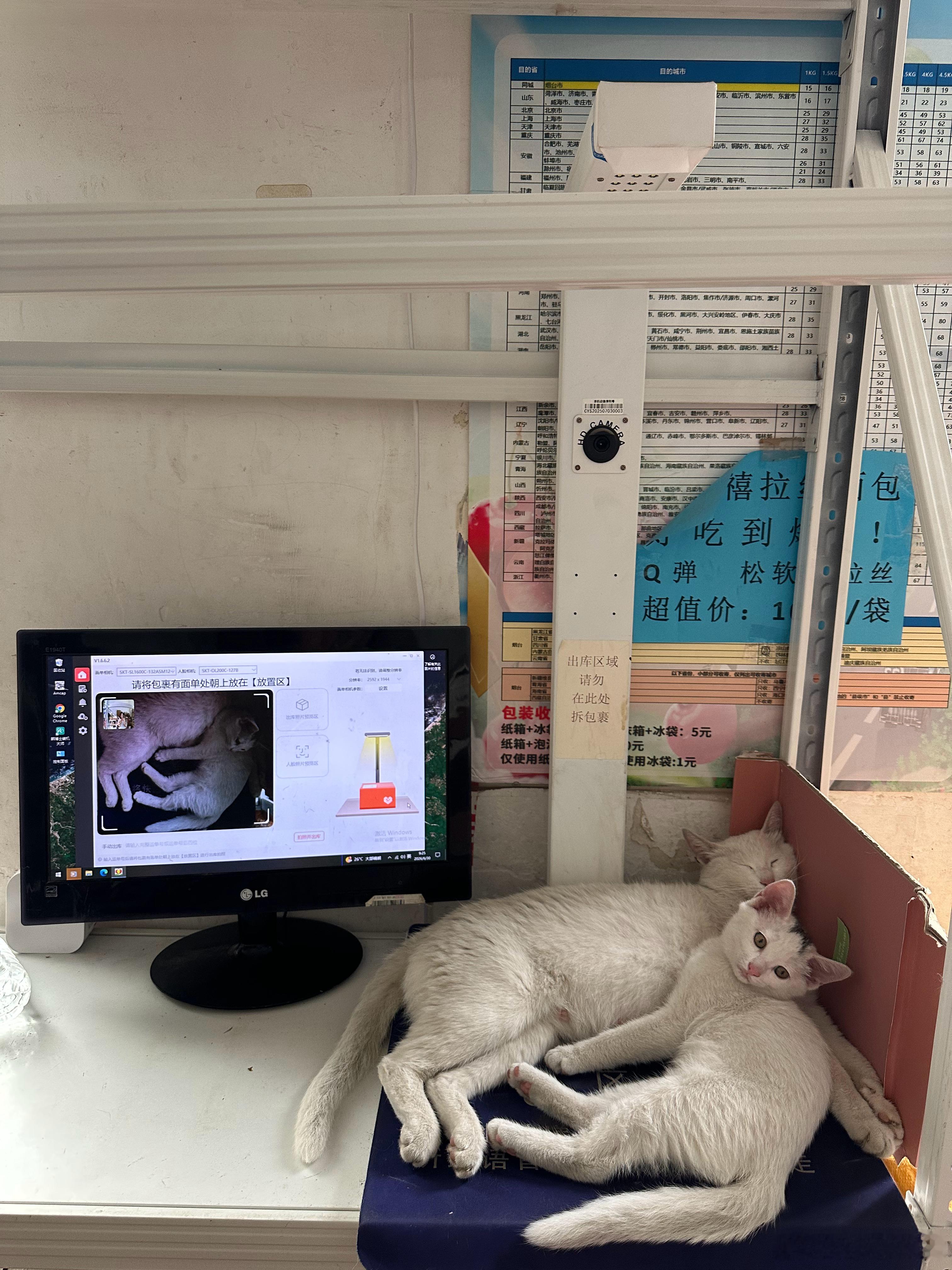 早晨来公司楼下的驿站取个件儿，笑死我了，笑了五分钟。当时驿站的人不在，音响絮絮叨