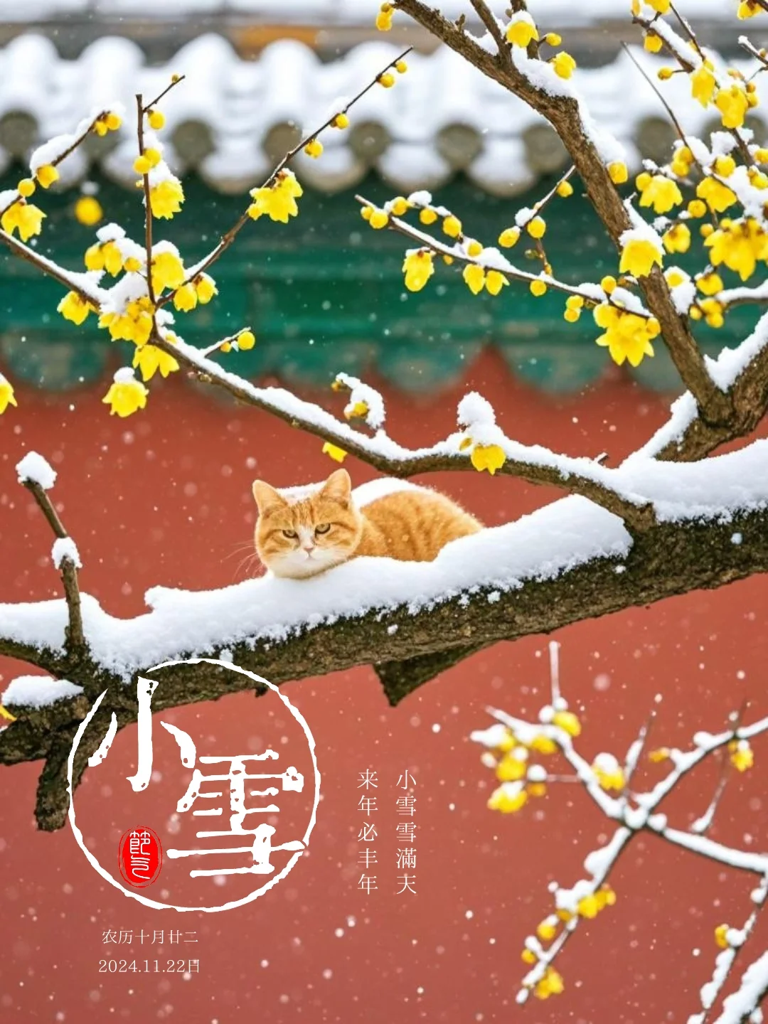 二十四节气｜小雪｜24节气｜海报设计