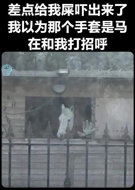 留步（9gag）今日meme[超话] 今日memes ​​​