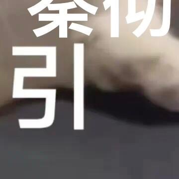 0000善你今天的努力，是幸运的伏笔，当下的付出，是明日的花开。即使现在还看不到