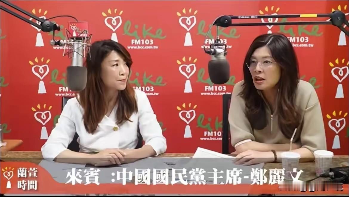 国民党主席郑丽文今天（27日）上午在节目中表示，“访陆行引起美国菁英圈的高度讨论