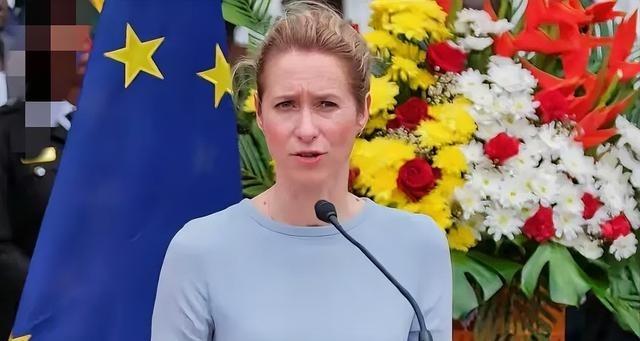 欧盟外长卡娅·卡拉斯让全球大吃一惊，她竟然敦促东盟不要购买俄罗斯石油！
欧盟外长