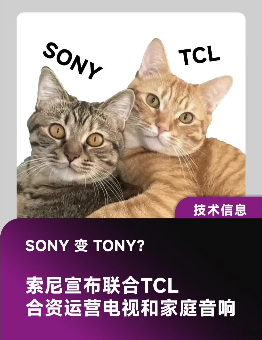 如何看待索尼电视牵手TCL算是一次优势互补的双赢合作，索尼手握XR芯片、画质调校