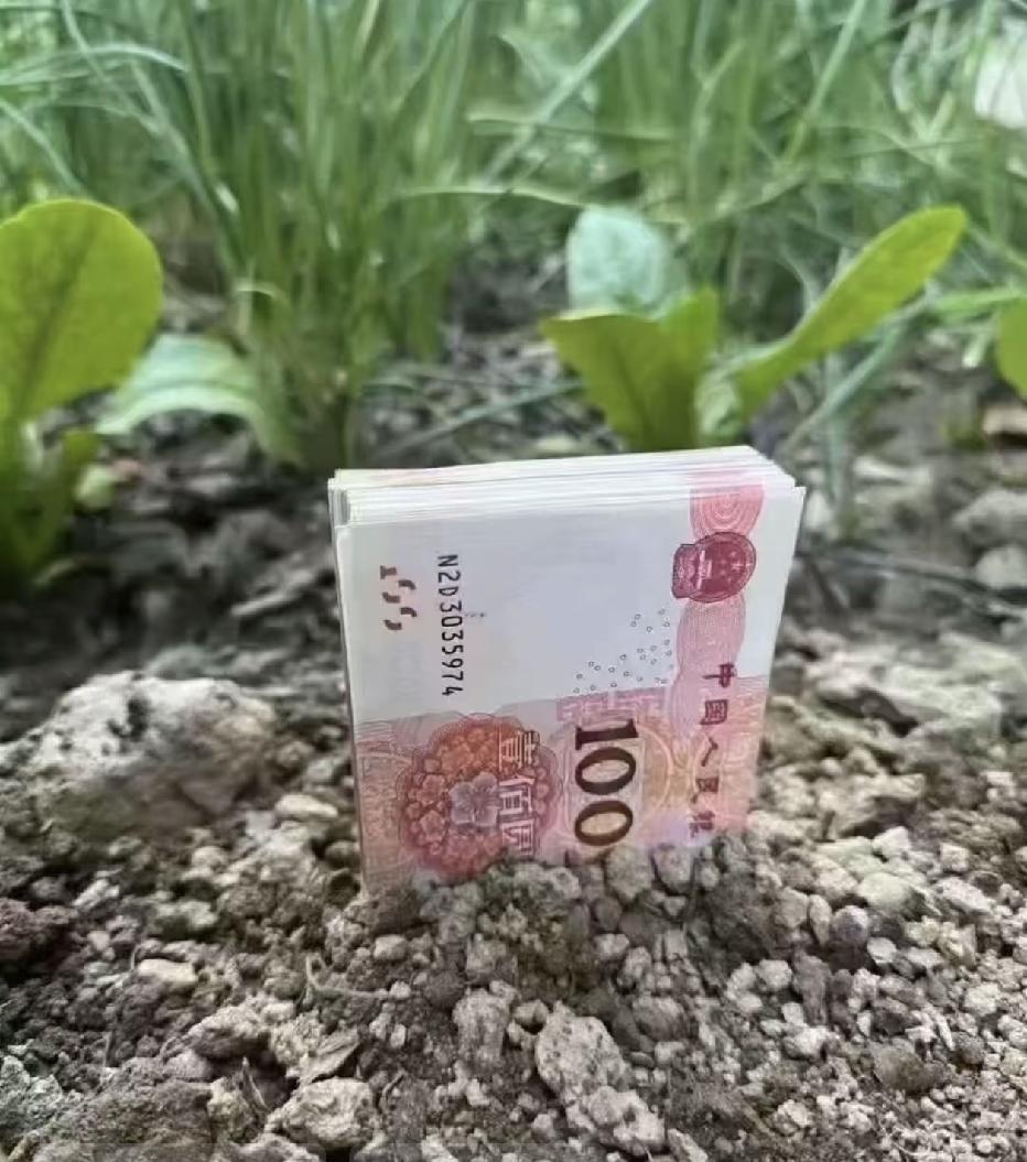 二次创业中，等我发达了，看到路边的狗，都甩它二百元子！