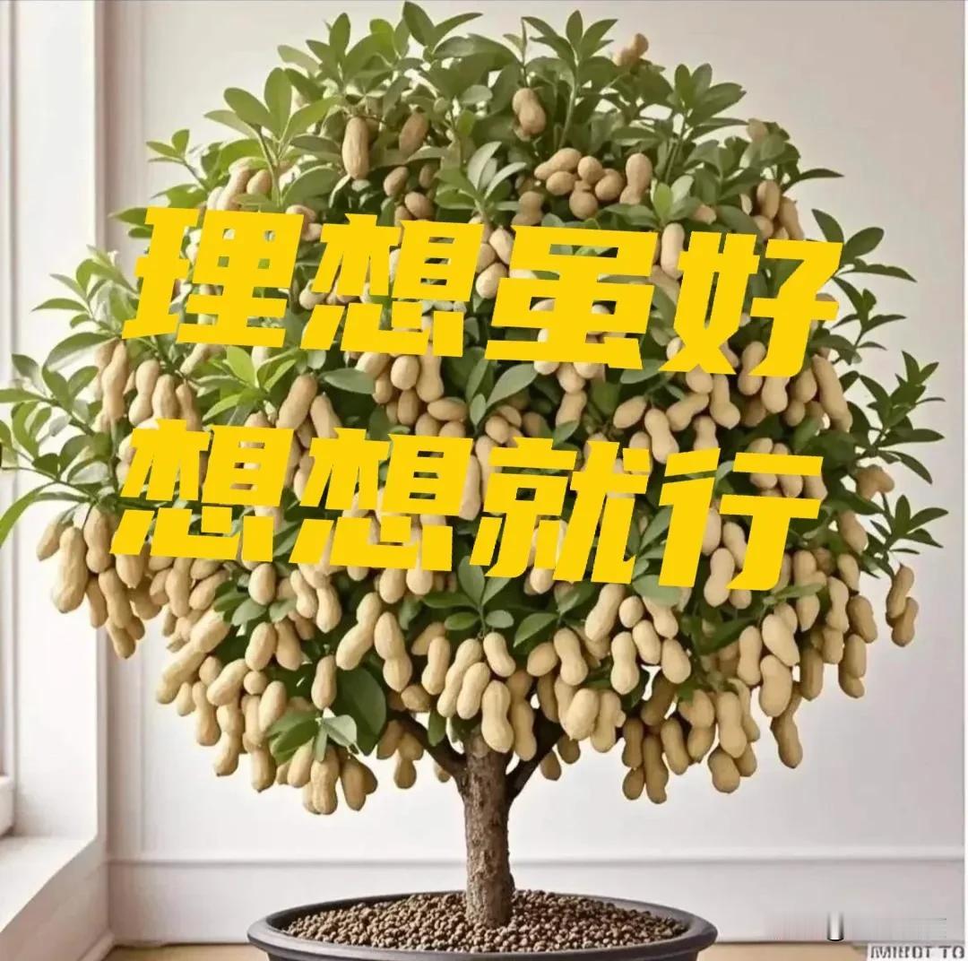 为什么有一些条件挺好的大龄青年找不到对象？因为他们的要求太高了！
就像明明自己是