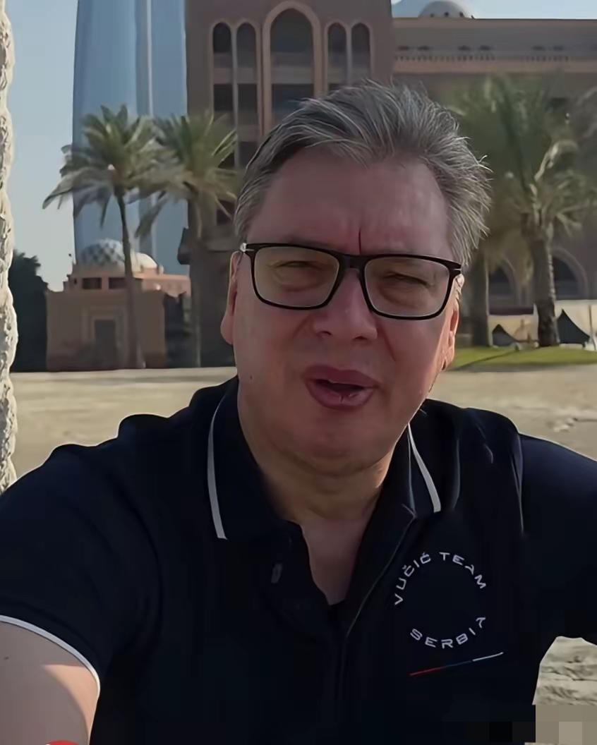 塞尔维亚总统武契奇，对着全国的镜头，一字一句复述了那个暗杀计划：把他的孩子，活活