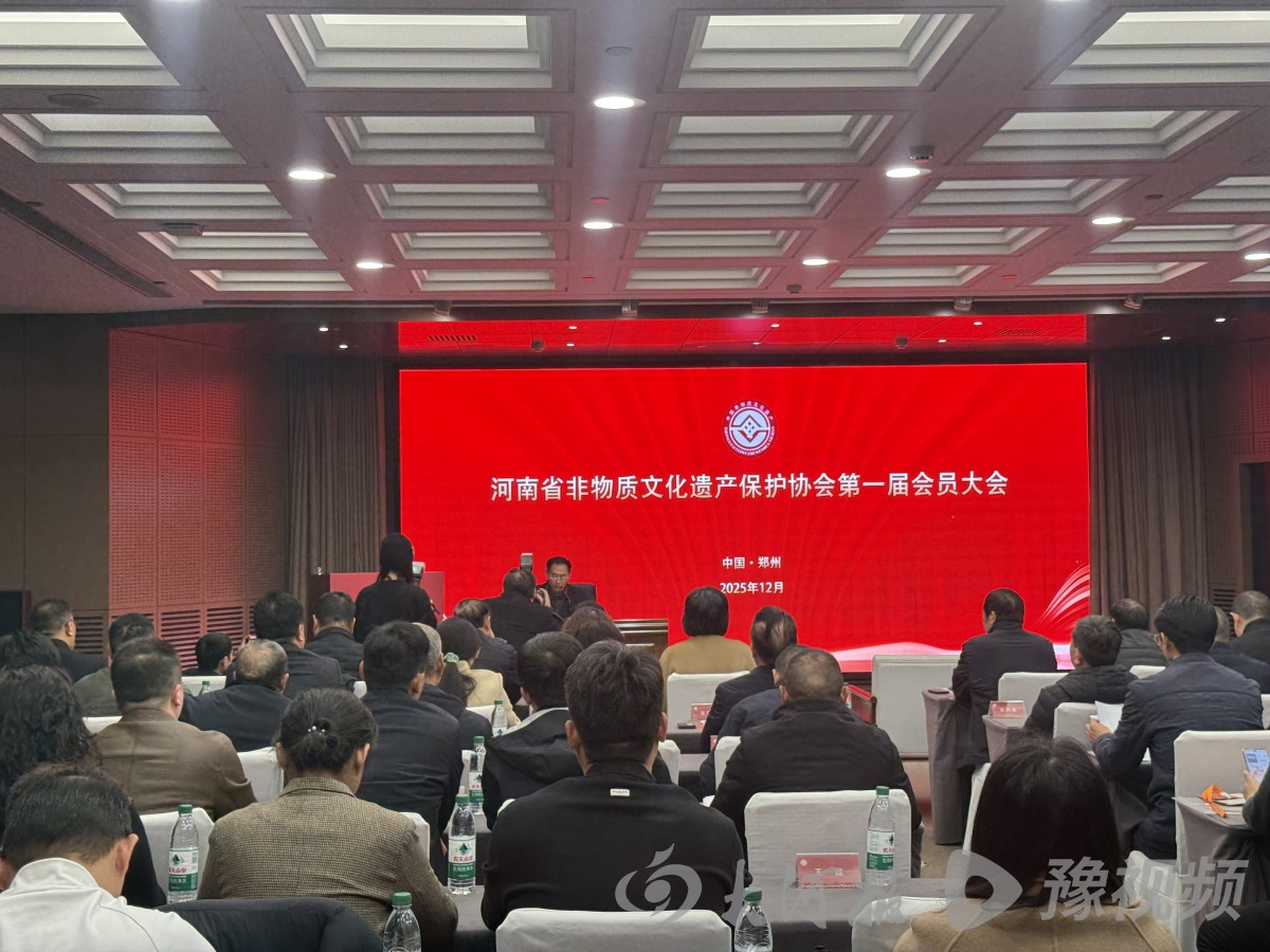 河南省非物质文化遗产保护协会正式成立