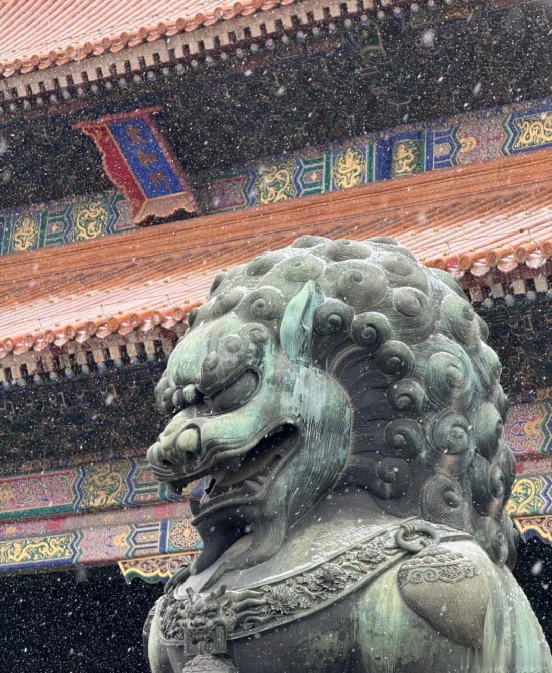 北京的雪下大了北京下雪，故宫的雪景太美了！ 
