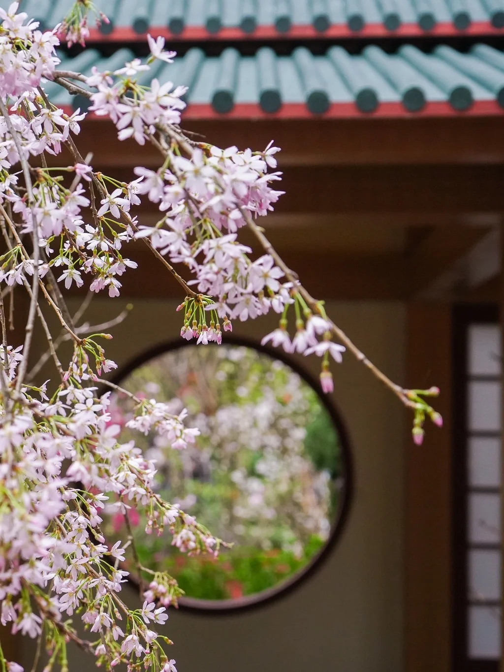 🌺新加坡必打卡！滨海湾花园保姆级攻略