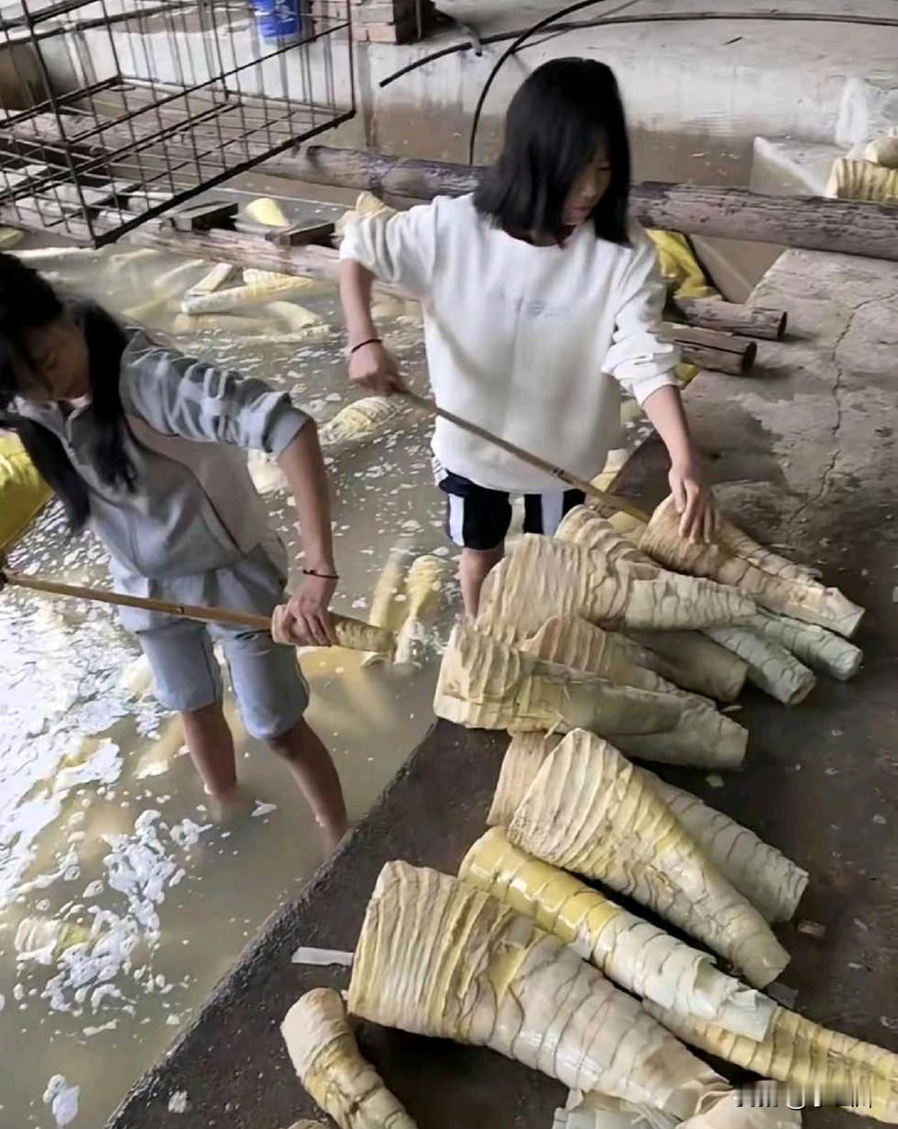 这样的酸笋你们吃得下吗？