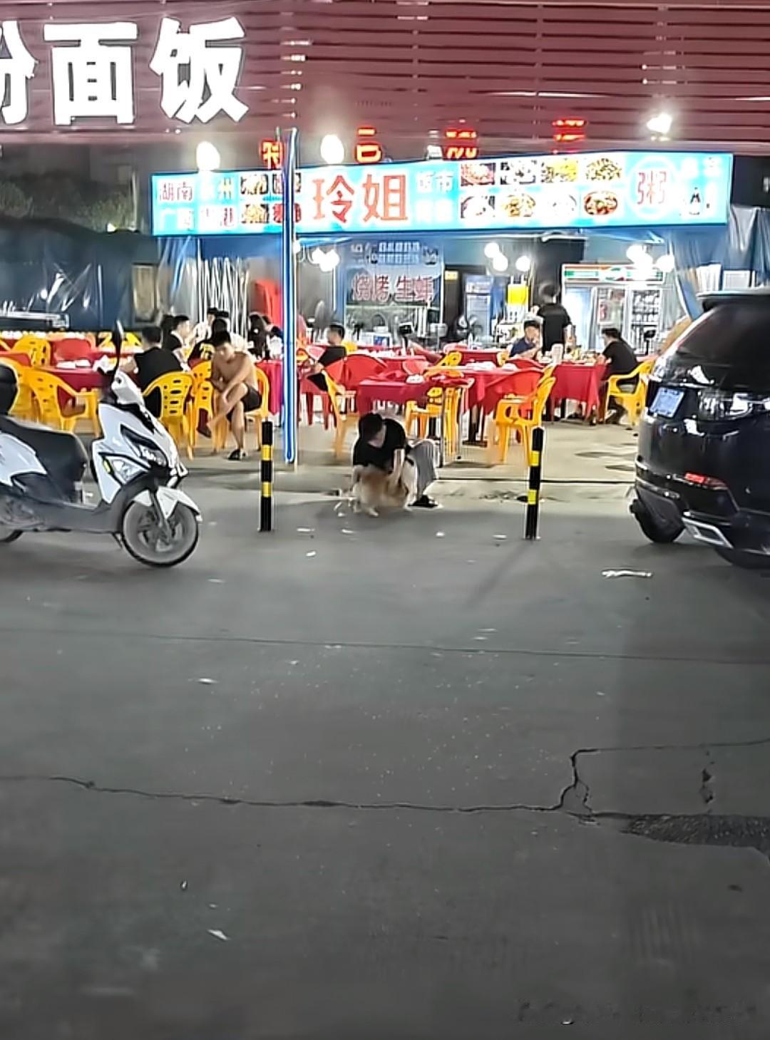 猫狗掉毛这件事，养过的人都懂，那不是一撮两撮，是一年四季的连绵不断。你梳一下，看