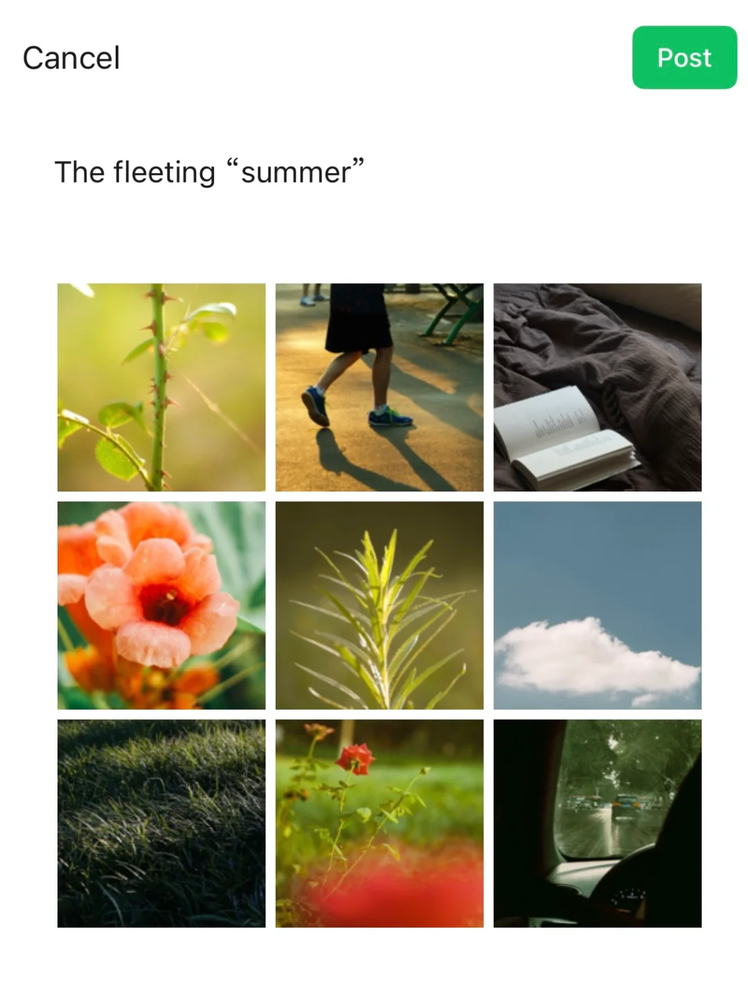 “热爱与生命 肆意生长。”