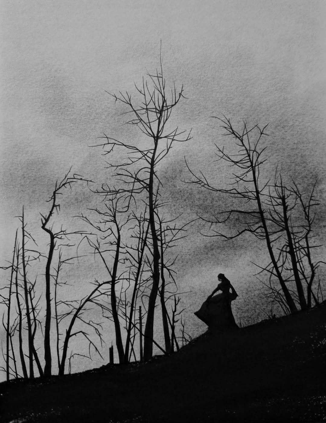 刺猬小姐 请保护好你的天真