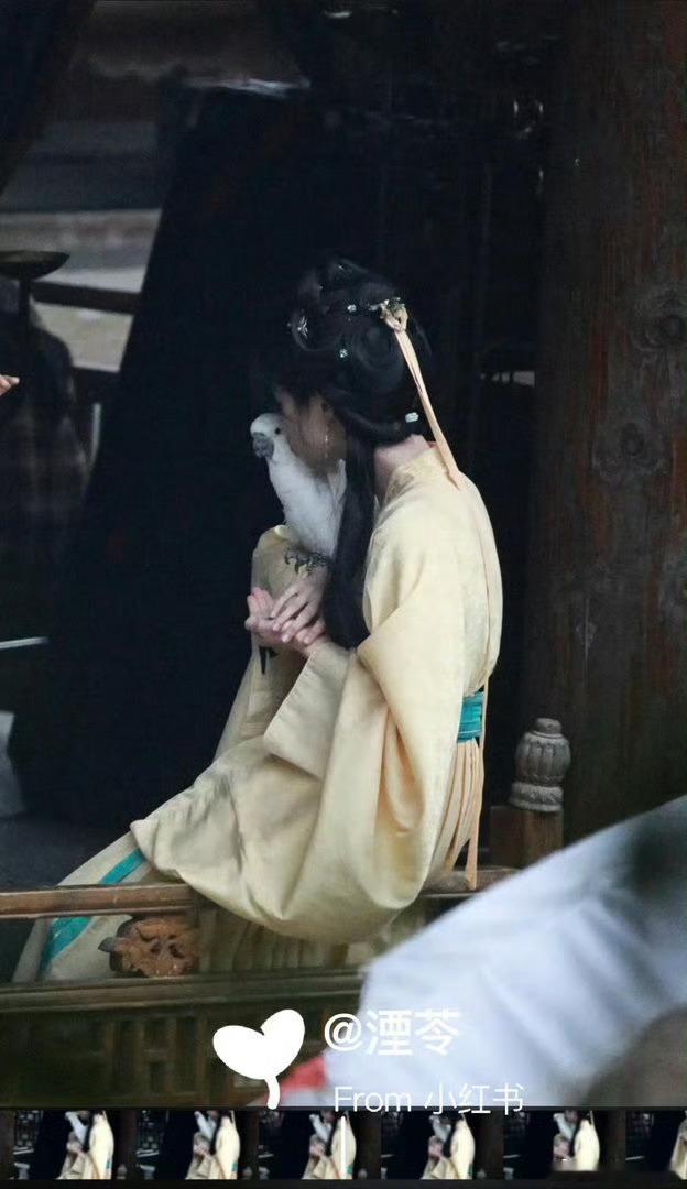 从未见过如此双标之鹦鹉《何不同舟渡》的鹦鹉也太会了！专宠卢昱晓，又是贴脸又是用翅