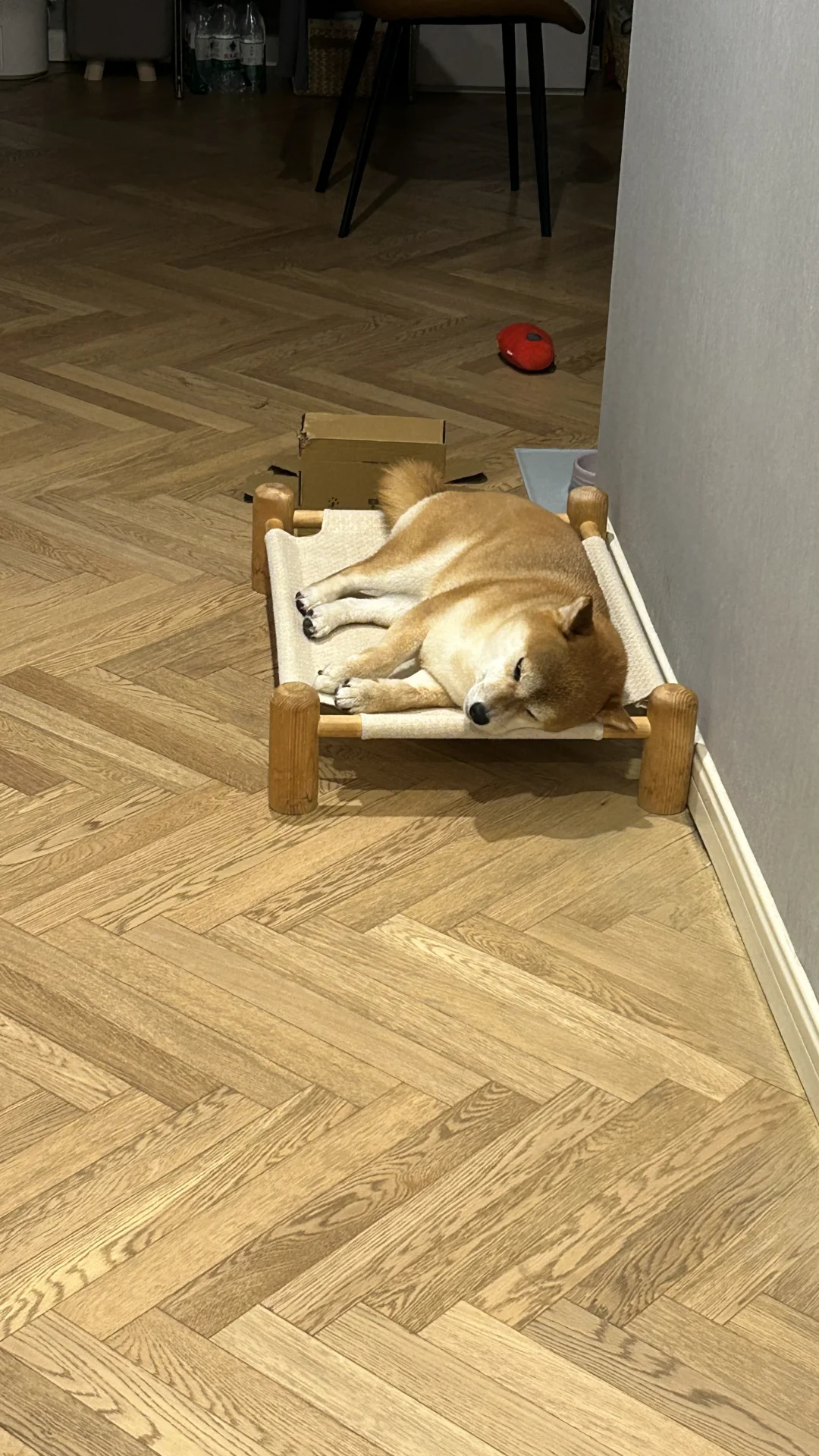 🐶：这张床不能没有我