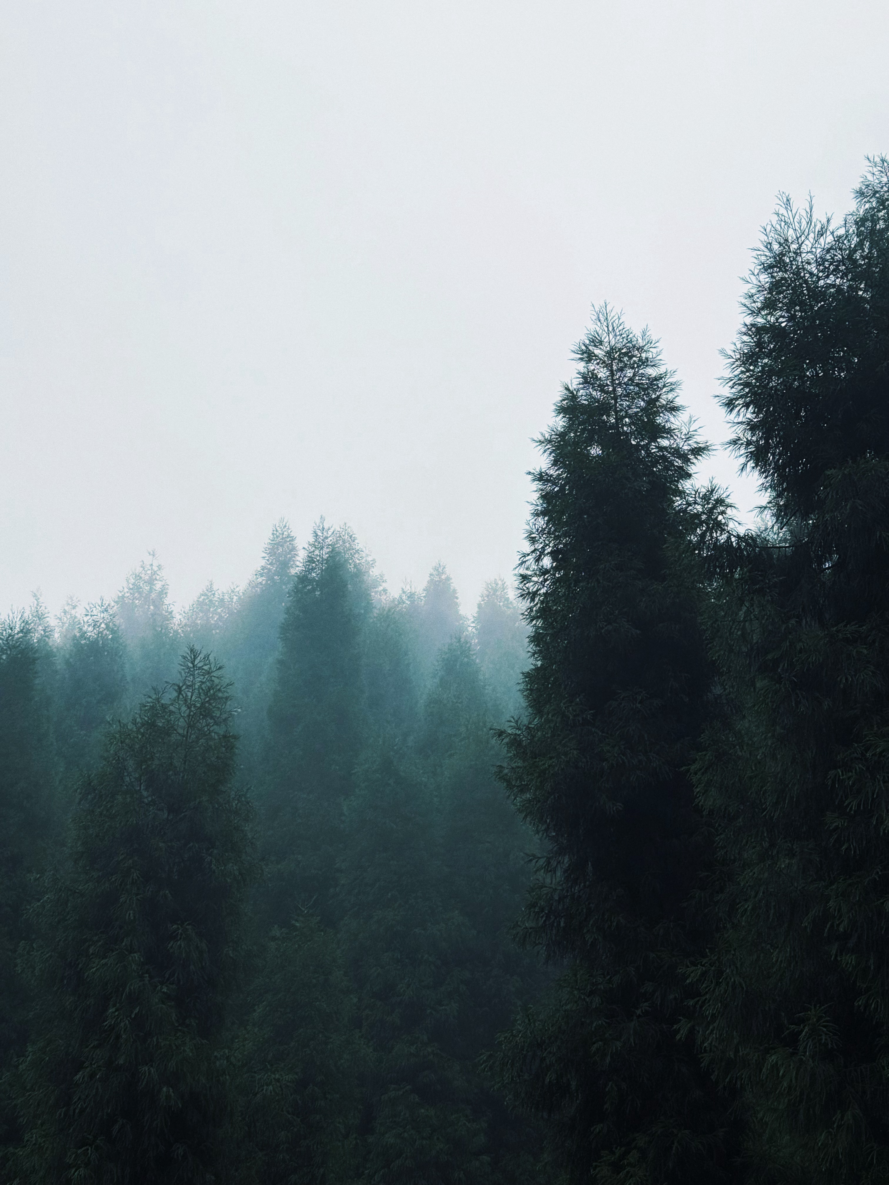 透过我的眼睛 ​​​