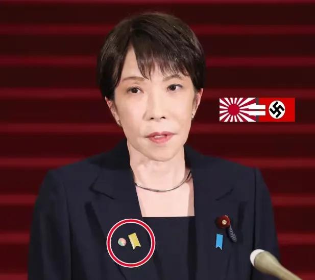 来自日本媒体消息说，俄罗斯总统普京登上南千岛群岛的择捉岛后，日本右翼分子高市早苗