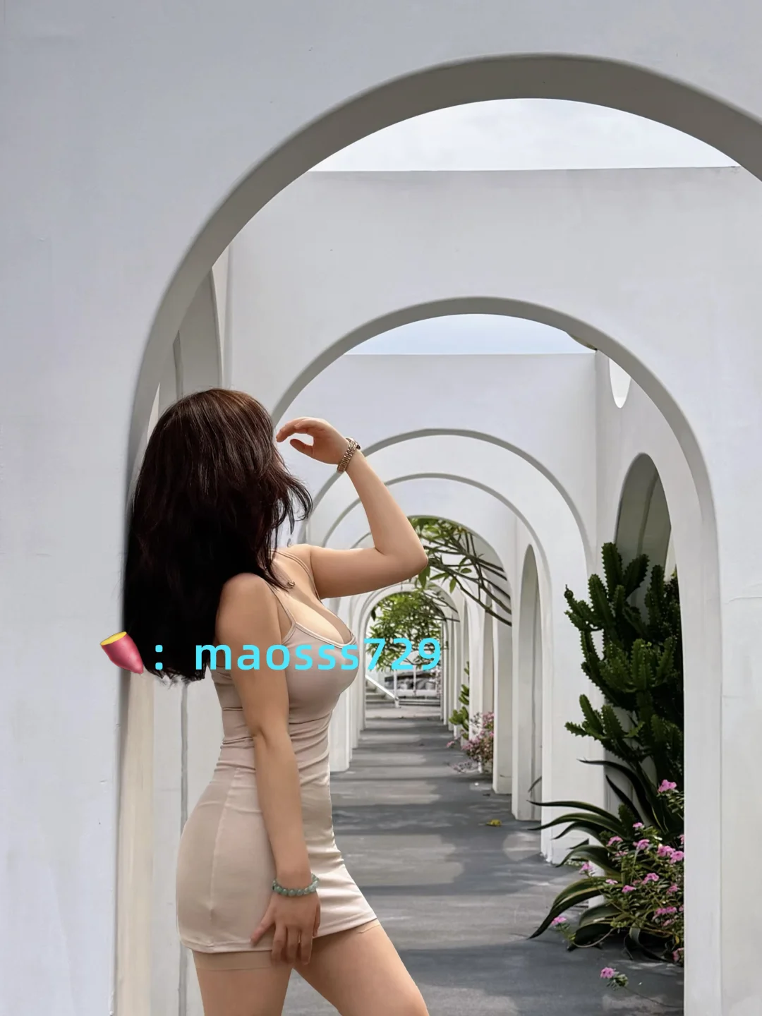 不在希腊|在版纳