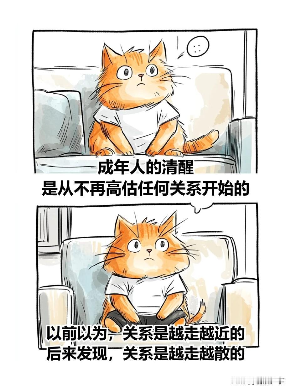 接受所有善意
也接受所有的不告而别
真正的朋友
是不会轻易分开的
能稀里糊涂分开