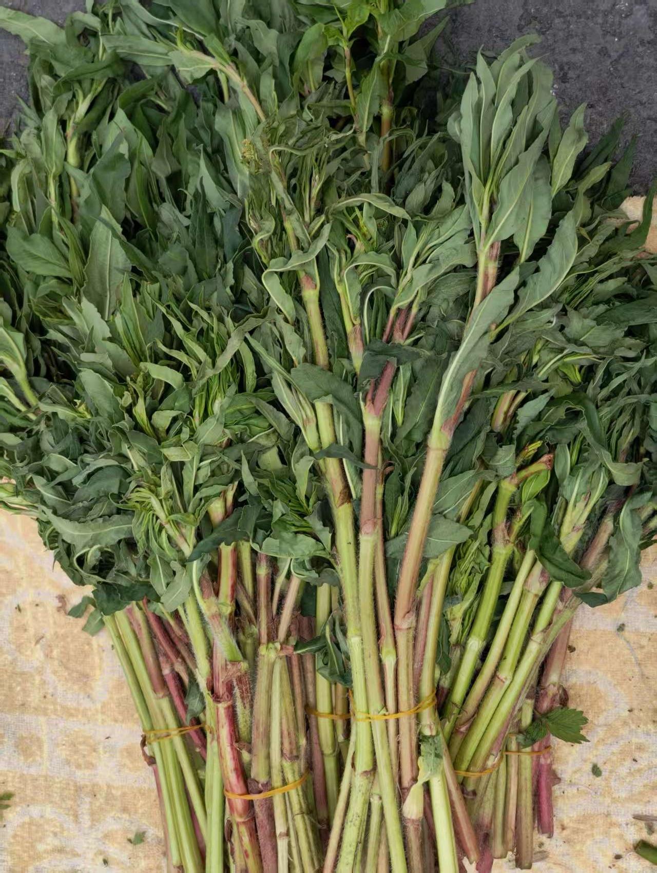 有谁吃过图一这种植物，知道他们叫什么名字吗？

小时候它是，我们夏天的水果。
长