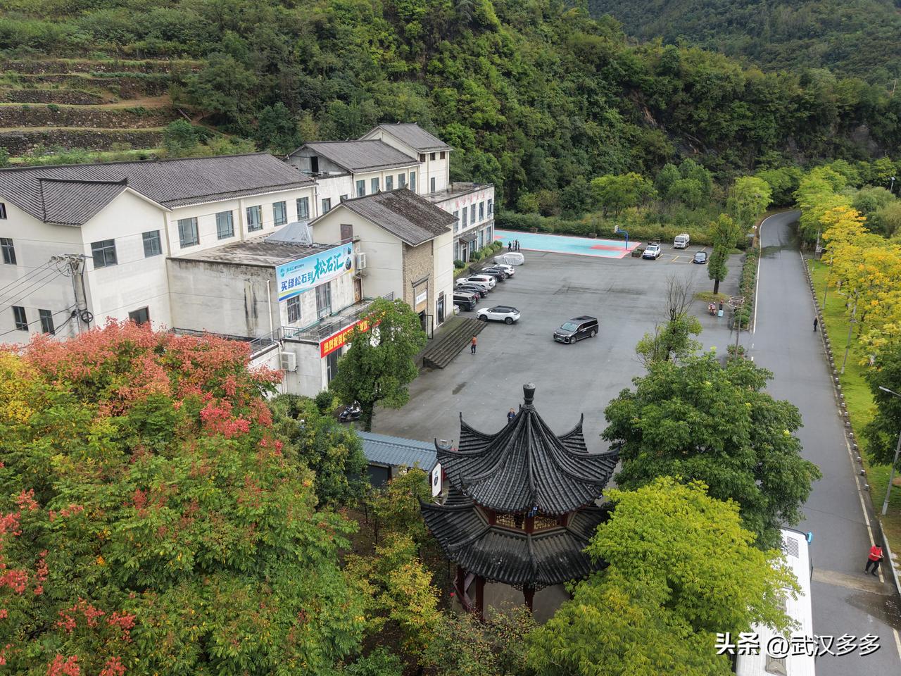 【新阶层主题活动走进郧西七乡茶业‌】9月29日，“新阶层走好新时代长征路”主题教