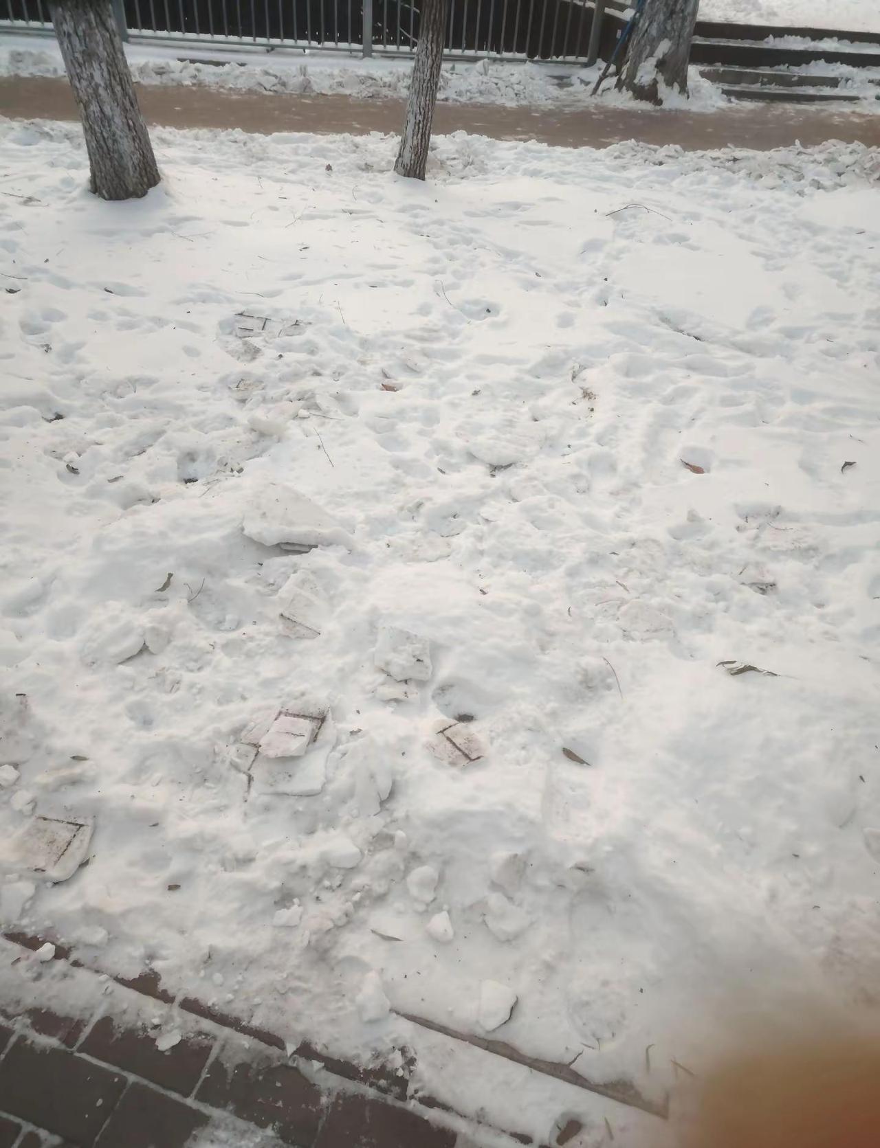 本周二哈尔滨迎来了入冬以来最大一场降雪