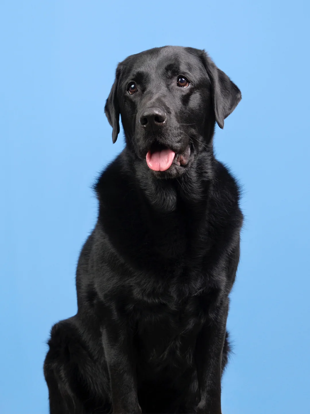 宝宝看起来好聪明 以后长大了要读捻究森