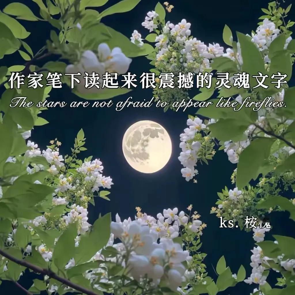 落在一个人一生中的雪，我们不能全部看见，都在自己的生命中，孤独地过冬，我们谁也帮