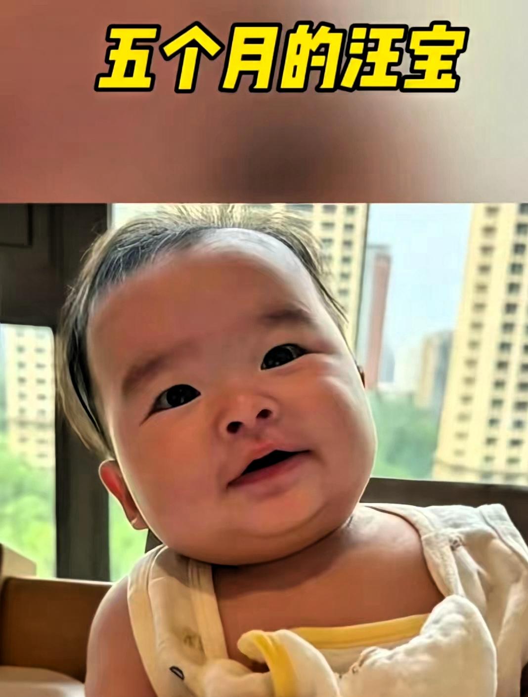 最近打开各大社交平台，几乎随处都能刷到小汪宝的日常片段，表情包、生活短视频接连刷