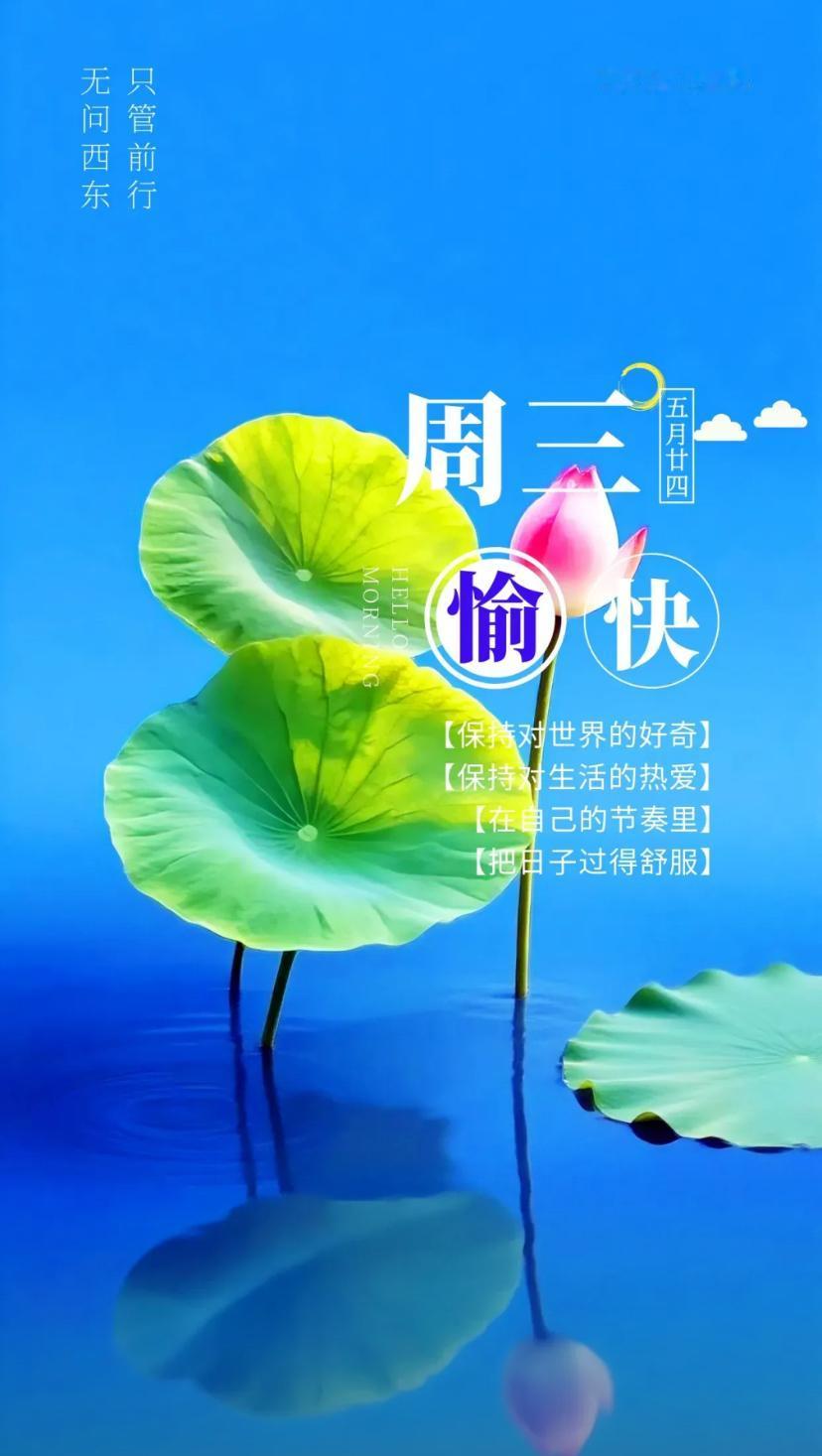 夏晨问安，骄阳助业青云上，朗月承梦锦绣开。
2026./07.08.
[微风][