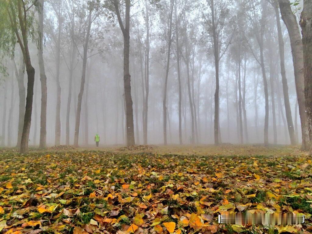 北京的初冬，大雾弥漫，秋色斑斓遇到大雾，宛若仙境。置身事外，犹如坠入美丽的童话世