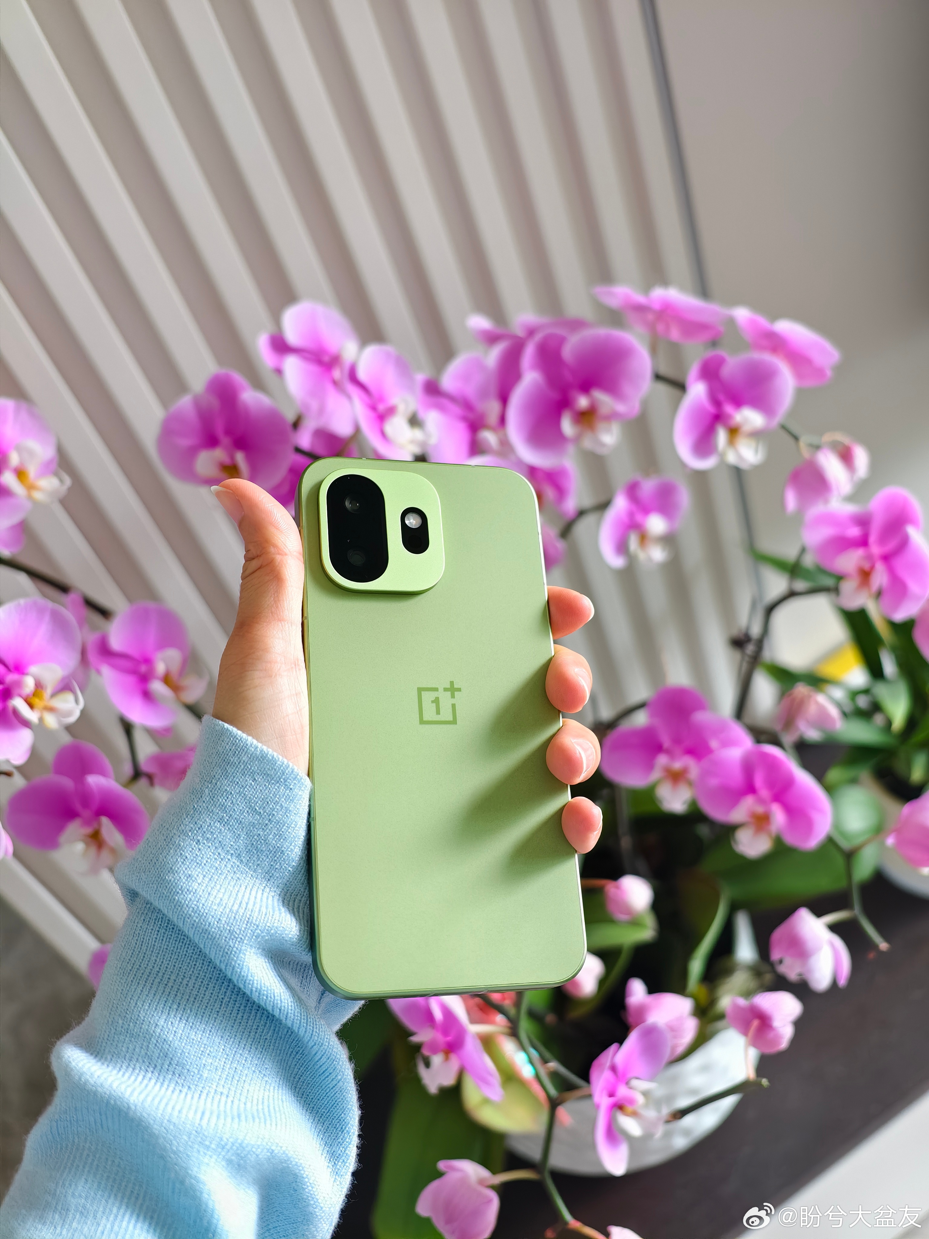 绿色真好看！一加15T