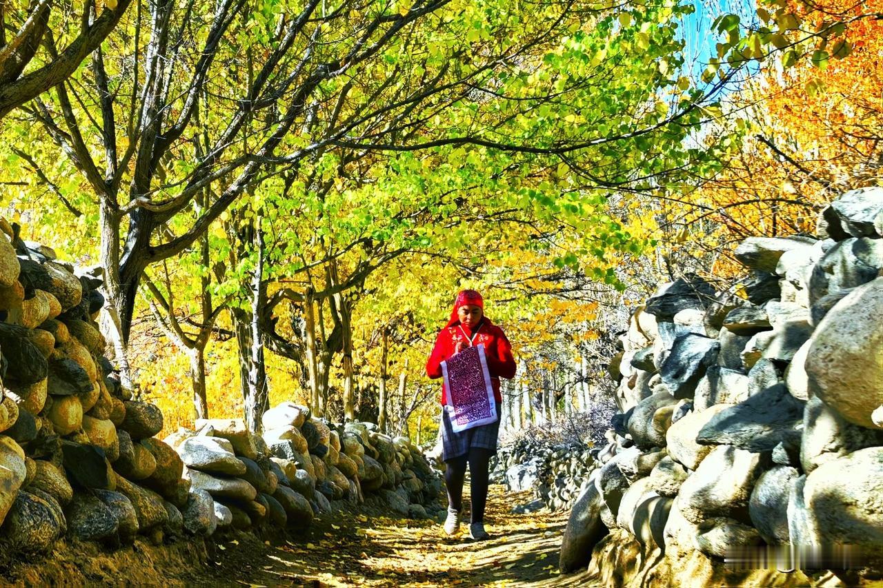 山谷深处，秋阳染亮满树金黄。石墙围起乡间小路，黄叶随风轻落。牛羊缓步穿行，村民行