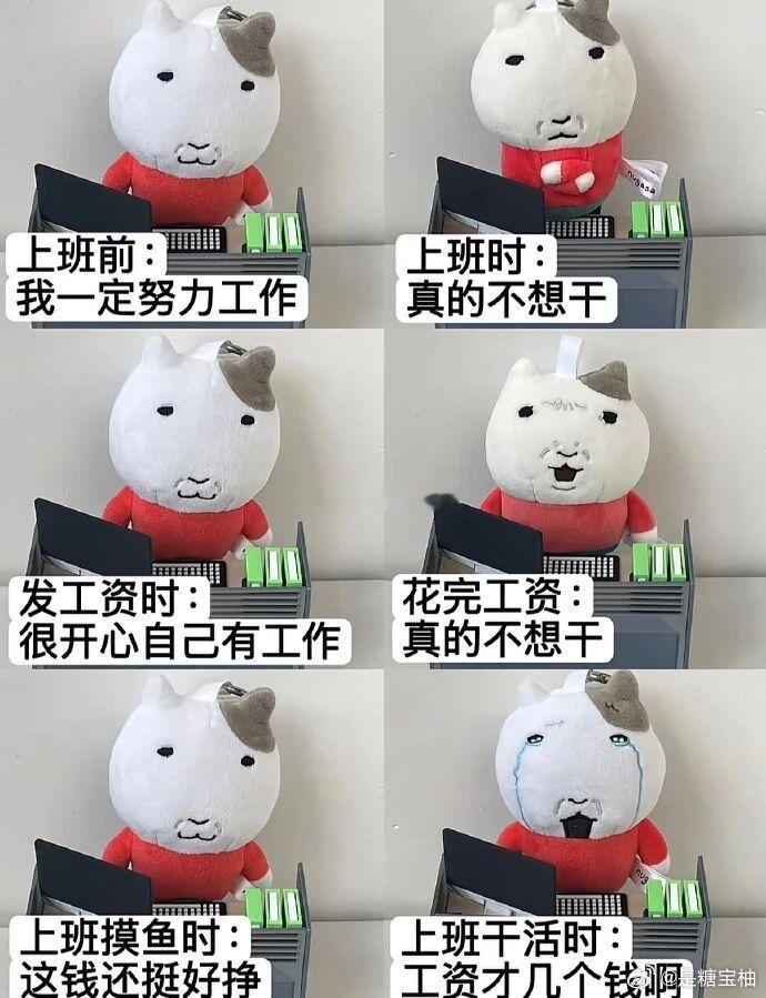 工资才几个钱啊 