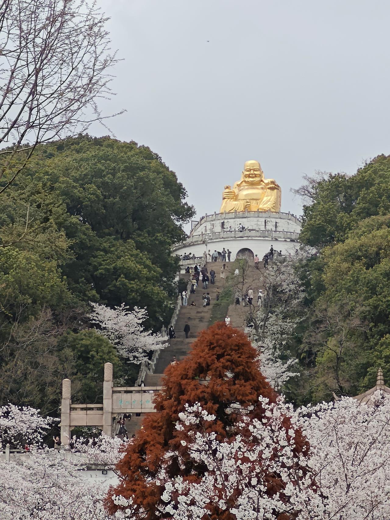 4月1日的苏州上方山，未曾邂逅野生猕猴。虽景区广播一直进行安全提醒，但今日游人着
