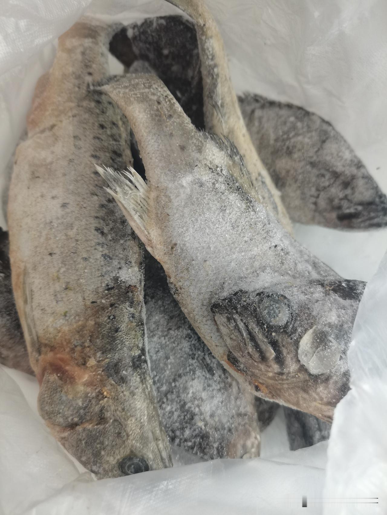真不明白有些人是怎么想的？自己不稀的吃的东西送给别人。
老头子又拿回来一包破鱼，