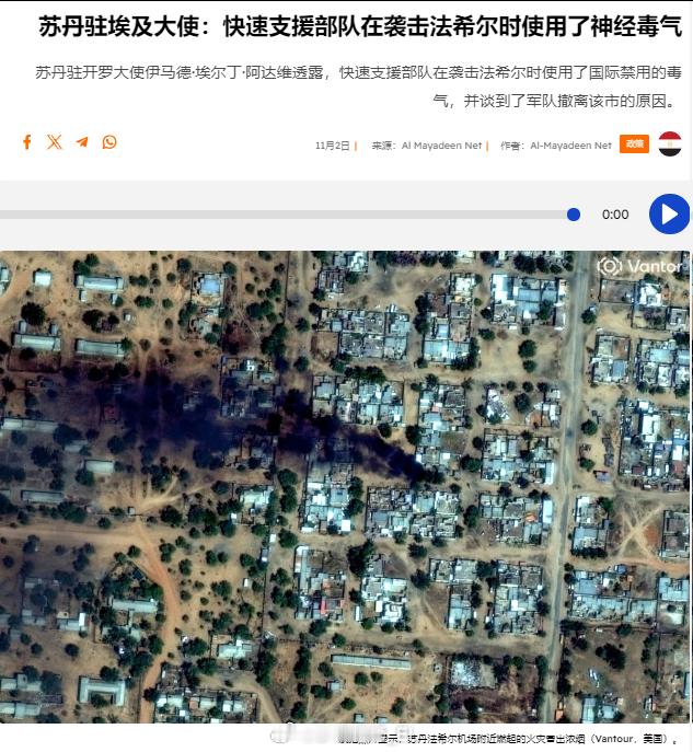 苏丹驻埃及大使伊马德·埃尔丁·阿达维声称，苏丹叛军“快速支援部队”在围攻法希尔市