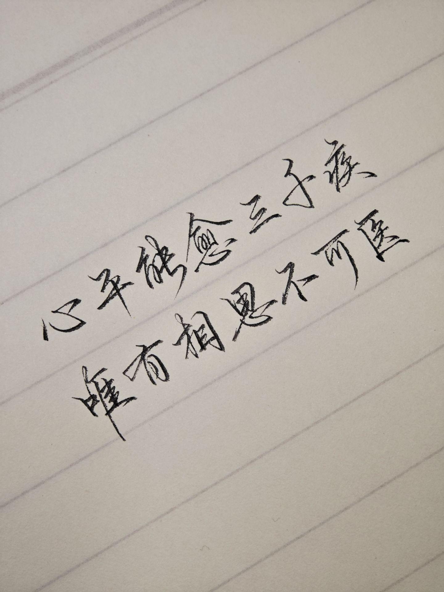 当生活再也没有惊喜和感动，你会发现，其实孤独就是最大的自由。