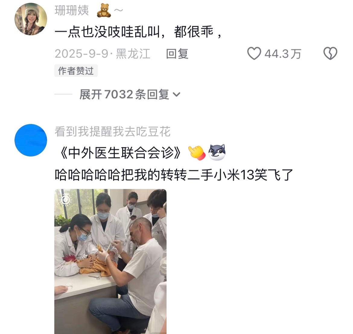 现在到处都是控糖最适合当父母的那批人都在宠物医院了🤣👌 ​​​