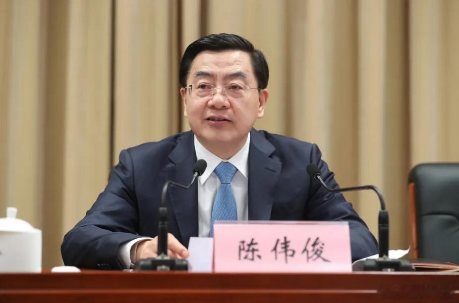 【新疆维吾尔自治区党委原常委、自治区政府原副主席陈伟俊严重违纪违法被开除党籍和公