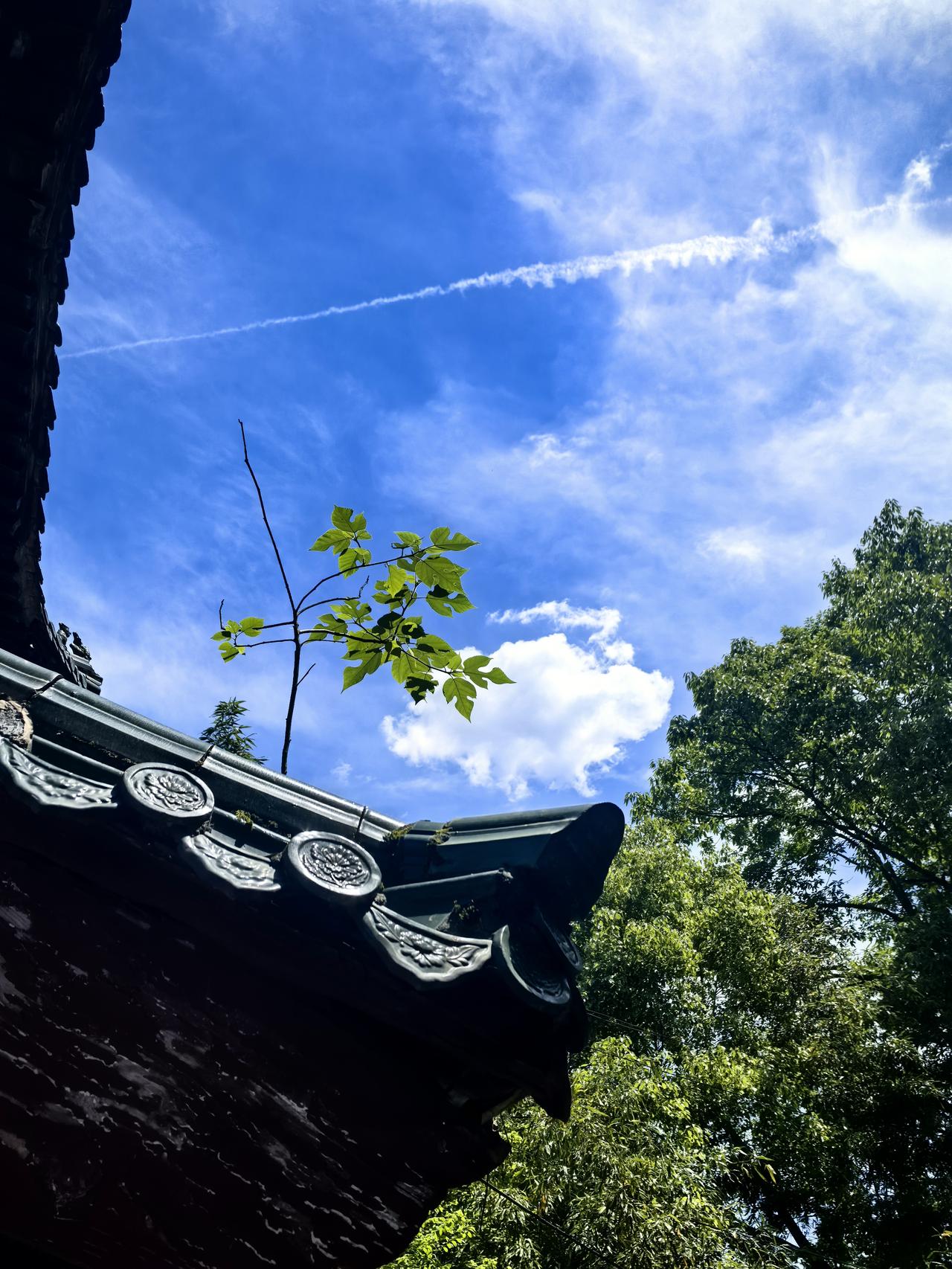 ​走走停停，照相管够，说着安普话，假装在旅游！[偷笑][偷笑]