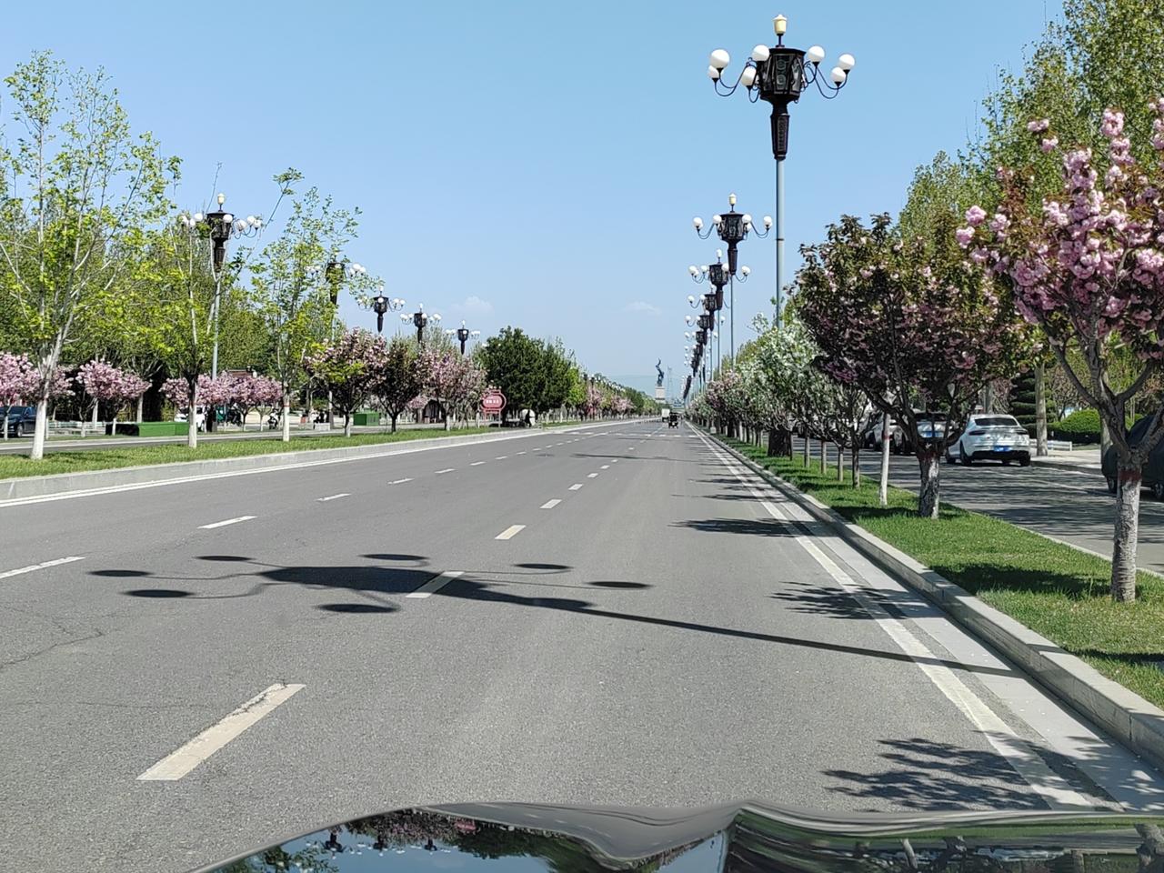 纵有一线生机，亦当全力以赴。

感恩世间所有善意，总有人伸手，将我从生死边缘拉回