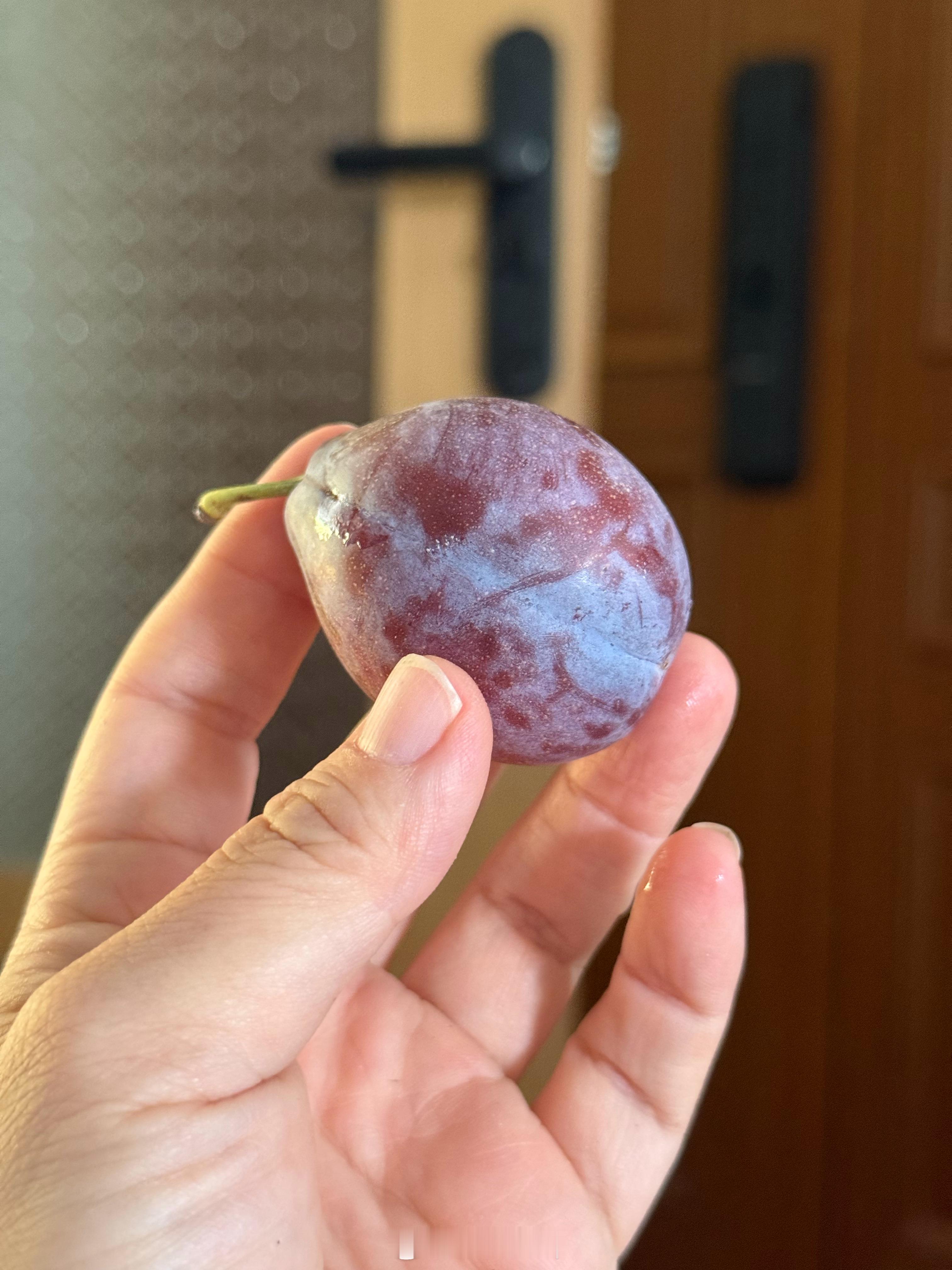 What is this？ ​​​